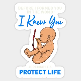 ANTI ABORTION: Before I Formed You Sticker